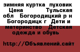 зимняя куртка (пуховик) › Цена ­ 1 100 - Тульская обл., Богородицкий р-н, Богородицк г. Дети и материнство » Детская одежда и обувь   